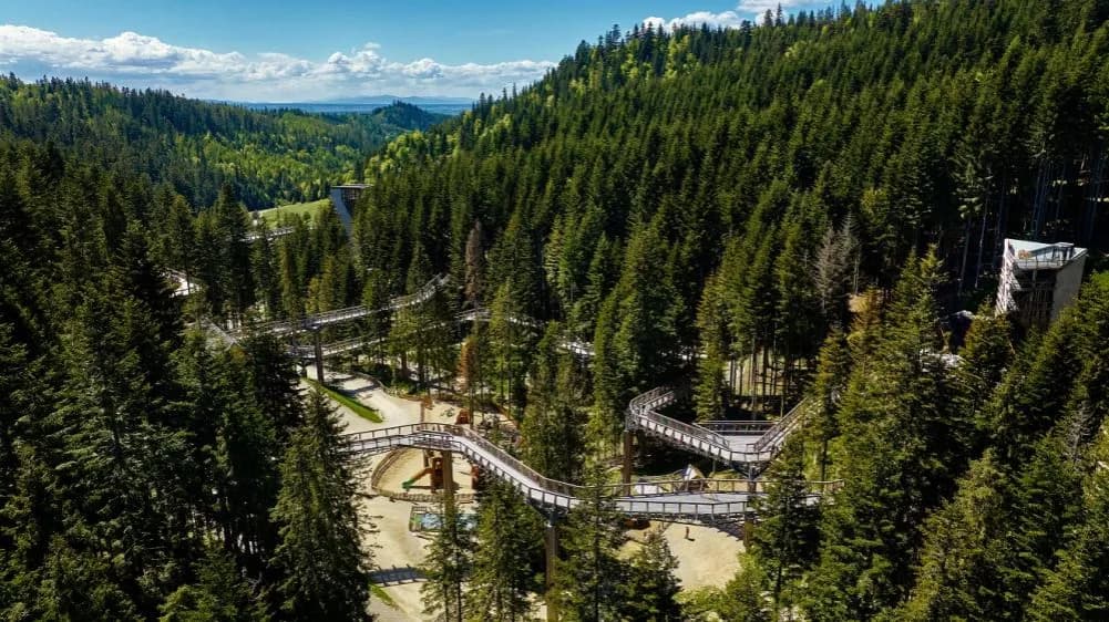 Zakopane gdzie z dzieckiem – najlepsze atrakcje na rodzinny wyjazd