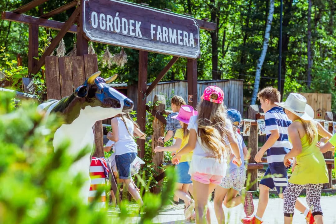 Gdzie z dzieckiem w Rybniku? Odkryj najlepsze atrakcje rodzinne