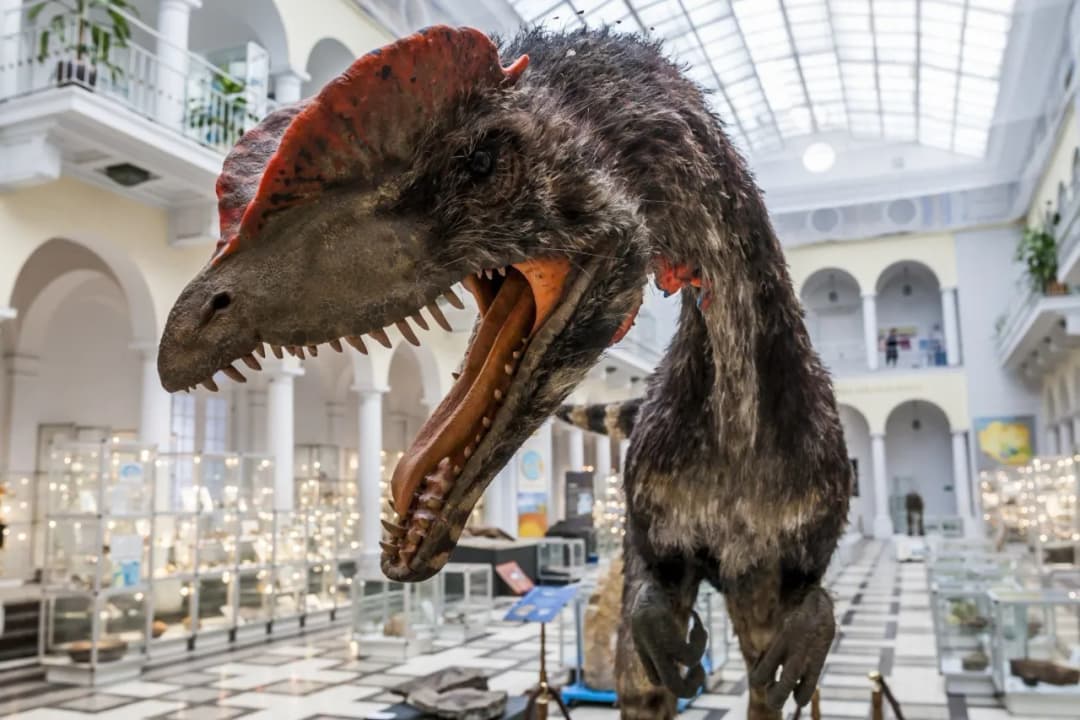 Gdzie z dzieckiem w Warszawie? Odkryj najlepsze atrakcje rodzinne